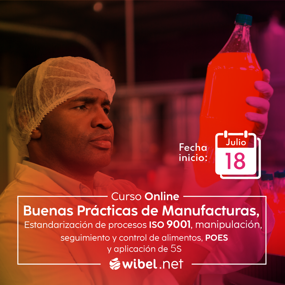 Curso Online: Buenas Practicas De Manufacturas, Estandarizacion De ...