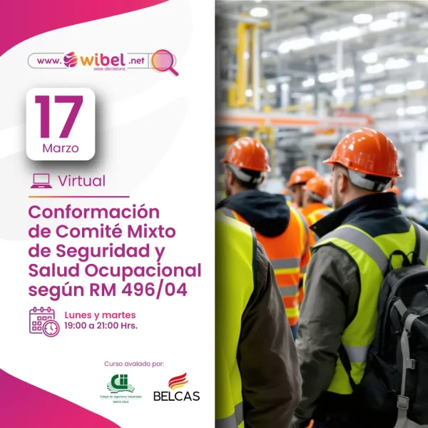 Conformación de Comité Mixto de Seguridad y Salud Ocupacional según RM 496/04