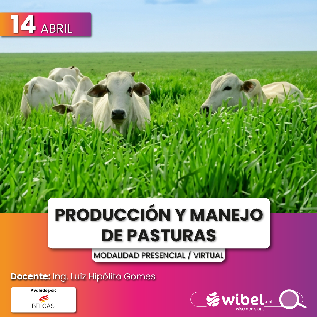 Producción y Manejo de Pastura