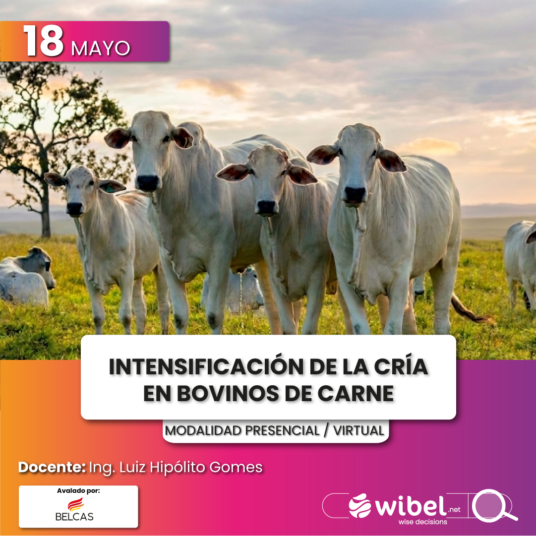 Engorde de bovinos a pasto_PORTADA